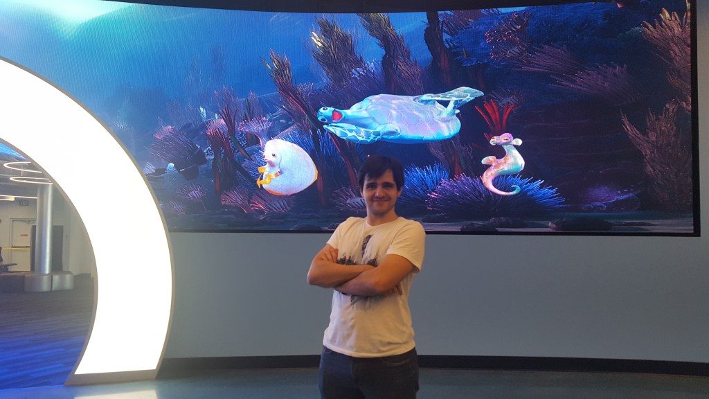 2017 – Carnival Cruise :&nbsp;Princess